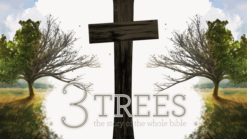 three-trees-the-whole-bible-rockhampton-presbyterian-church